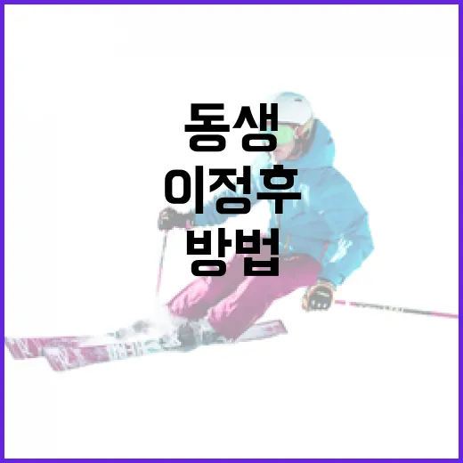 이정후 동생에 대해 알아보는 방법 - 요약