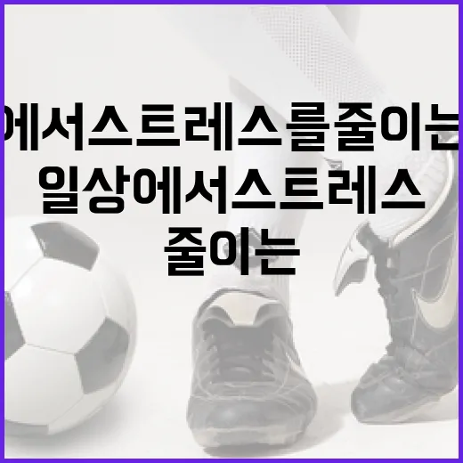 유창식을 활용하여 일상에서 스트레스를 줄이는 방법 - 요약