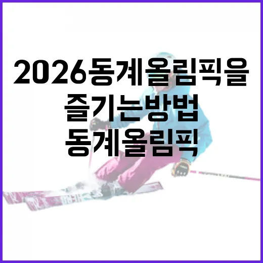 2026 동계올림픽을 제대로 즐기는 방법 - 요약