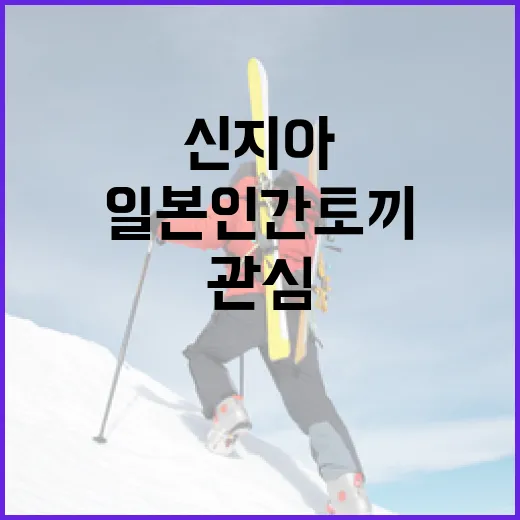 신지아: 일본 인간토끼에 대한 관심이 폭발하는 이유 - 요약