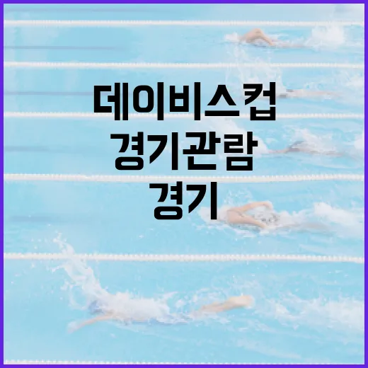 데이비스컵의 모든 것: 경기 관람부터 팀 응원까지 - 요약