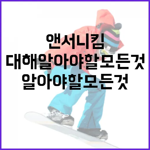 앤서니킴에 대해 알아야 할 모든 것 - 요약