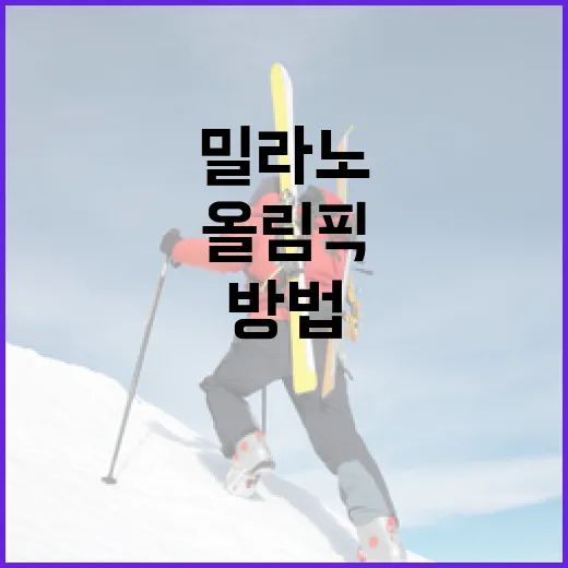 밀라노 올림픽 일정을 효과적으로 확인하는 방법 - 요약