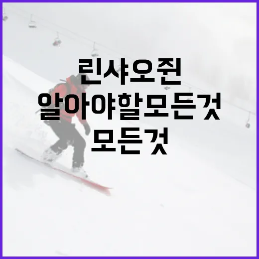 린샤오쥔에 대해 알아야 할 모든 것 - 요약