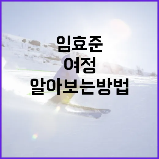 임효준에 대해 알아보는 방법: 그의 여정과 업적 - 요약