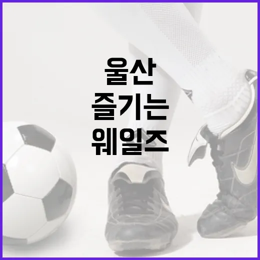 울산 웨일즈를 제대로 즐기는 방법 - 요약