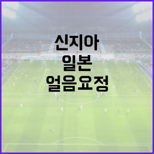 신지아가 일본에서 얼음 요정으로 불리는 이유와 그 매력 - 요약