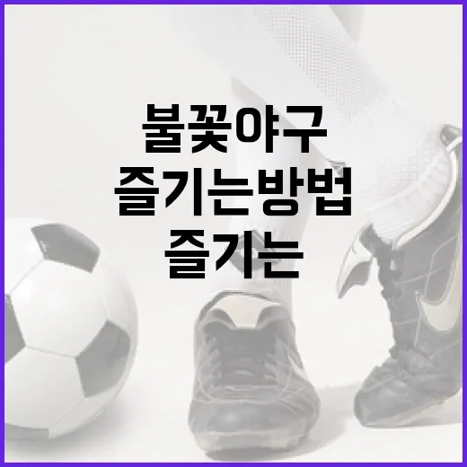 불꽃야구를 제대로 즐기는 방법 - 요약