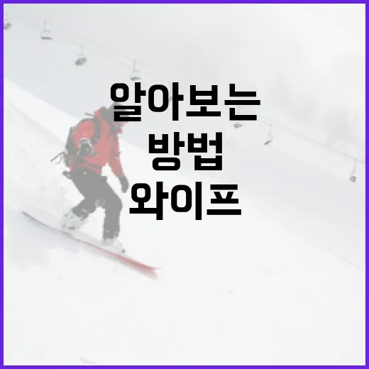 김상겸 와이프에 대해 알아보는 방법 - 요약