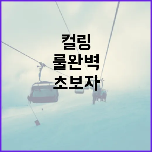 컬링 룰 완벽 이해하기: 초보자를 위한 가이드 - 요약