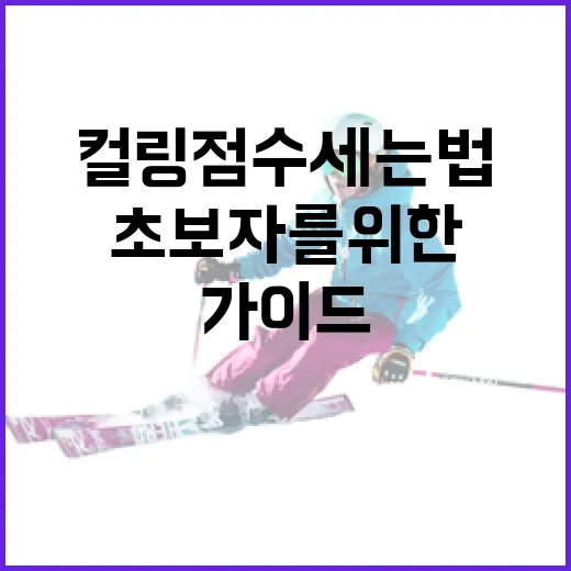 컬링 점수 세는 법: 초보자를 위한 쉬운 가이드 - 요약