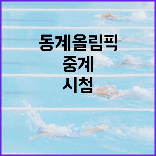 동계올림픽 중계를 효율적으로 시청하는 방법 - 요약