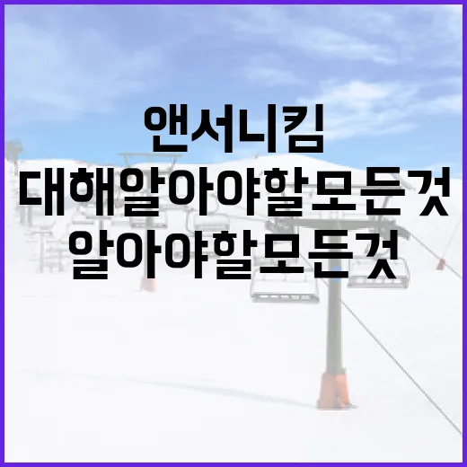 앤서니킴에 대해 알아야 할 모든 것 - 요약