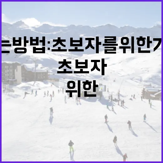 데이비스컵을 즐기는 방법: 초보자를 위한 가이드 - 요약