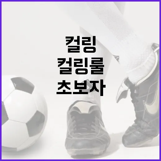 컬링 룰을 이해하는 방법: 초보자를 위한 가이드 - 요약