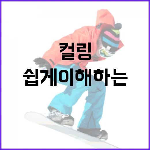 컬링 룰을 쉽게 이해하는 방법 - 요약