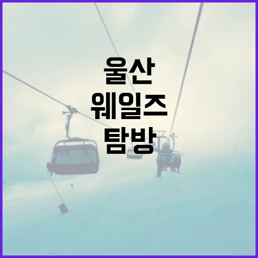 울산 웨일즈를 탐방하는 방법 - 요약