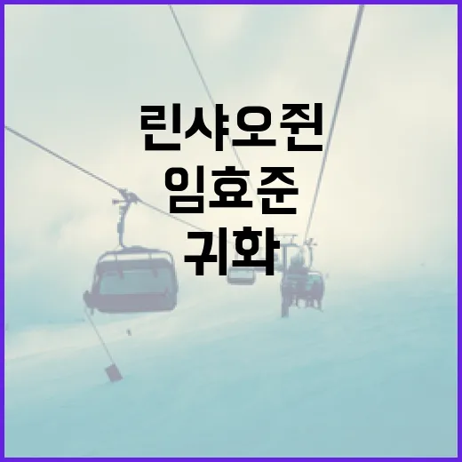 린샤오쥔(임효준)으로 귀화 후 두 이름을 사용하는 방법 - 요약