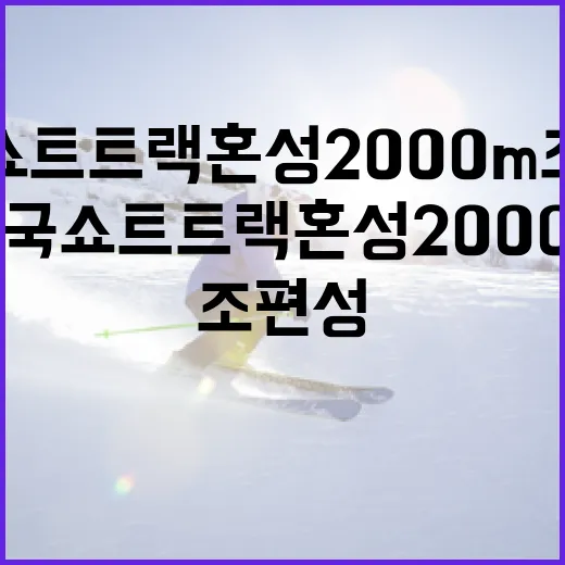 한국 쇼트트랙 혼성 2000m 조편성 이해하는 방법 - 요약