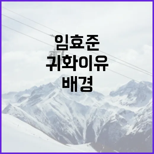 임효준의 귀화 이유와 그 배경을 이해하는 방법 - 요약