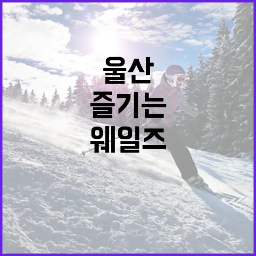 울산 웨일즈를 제대로 즐기는 방법 - 요약