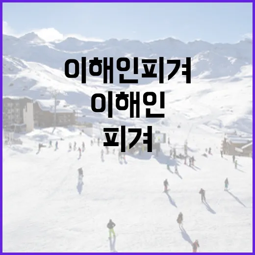 이해인 피겨를 이해하는 방법 - 요약