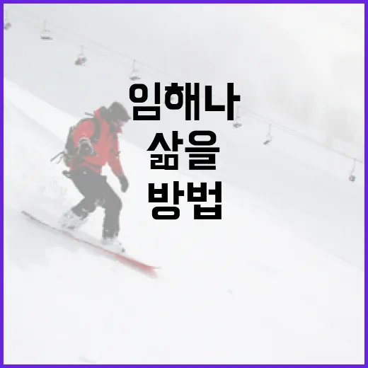 임해나의 삶을 이해하는 방법 - 요약