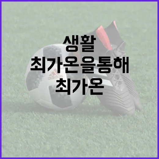 최가온을 통해 생활을 향상시키는 방법 - 요약