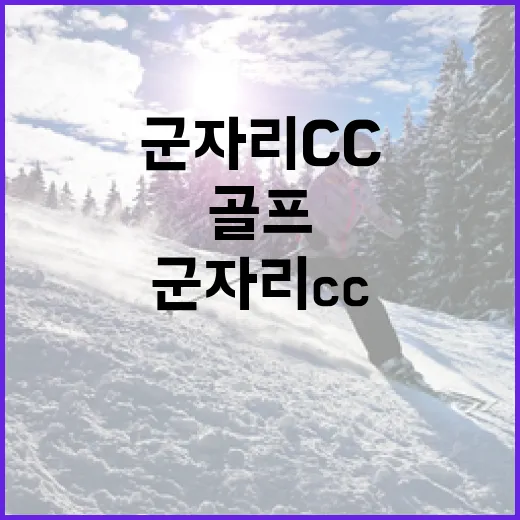 군자리CC에서 골프를 즐기는 방법 - 요약