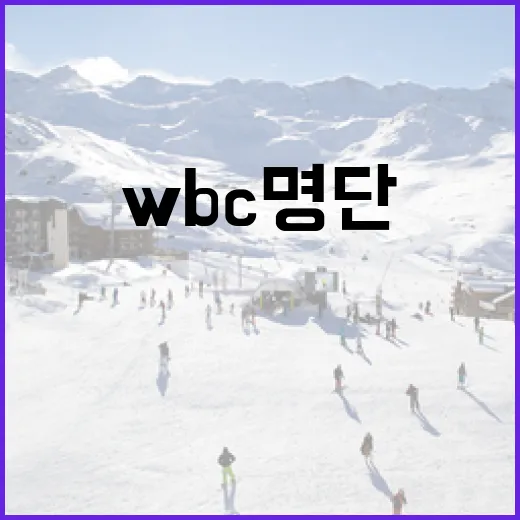 WBC 명단을 이해하고 활용하는 방법 - 요약