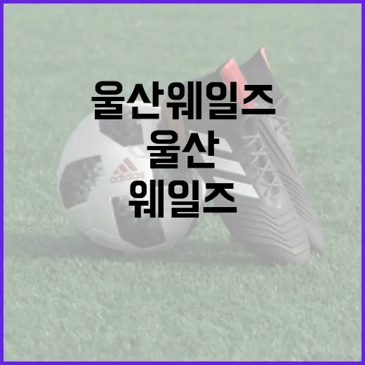 울산 웨일즈 여행을 최대한 즐기는 방법 - 요약