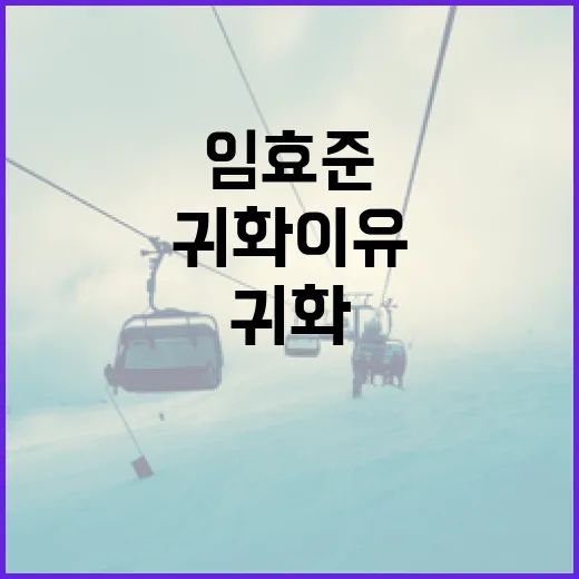 임효준의 귀화 이유와 그 영향 알아보기 - 요약