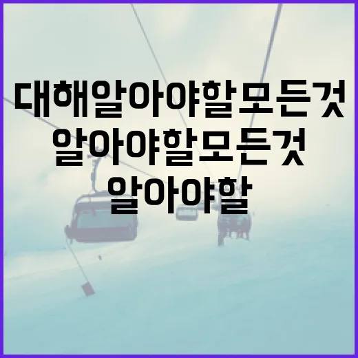 나승엽에 대해 알아야 할 모든 것 - 요약