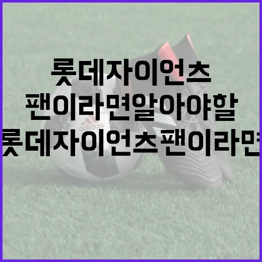 롯데자이언츠 팬이라면 알아야 할 5가지 - 요약