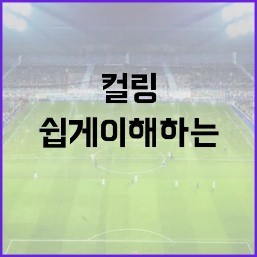 컬링 룰을 쉽게 이해하는 방법 - 요약