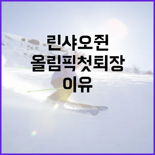 린샤오쥔의 올림픽 첫 퇴장 이유와 그 영향 - 요약