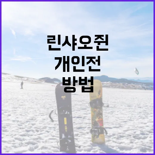 린샤오쥔 개인전에서 성공적으로 경쟁하는 방법 - 요약