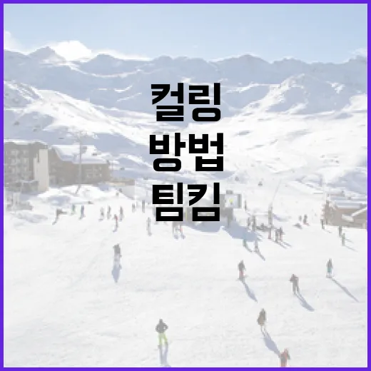 컬링 팀킴에 대해 알아보는 방법 - 요약