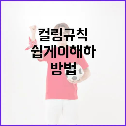 컬링 규칙을 쉽게 이해하는 방법 - 요약