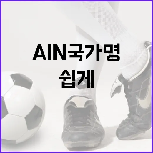AIN 국가명을 쉽게 이해하는 방법 - 요약