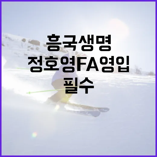 흥국생명이 정호영 FA 영입을 필수로 고려해야 하는 이유 - 요약