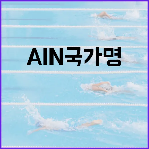 AIN 국가명을 이해하는 방법 - 요약