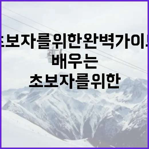 카바디를 배우는 방법: 초보자를 위한 완벽 가이드 - 요약