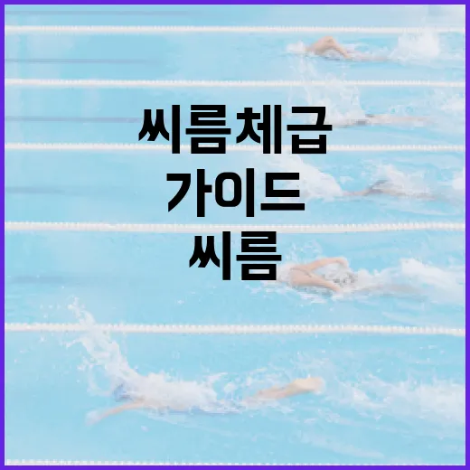 씨름 체급 이해하기: 초보자를 위한 가이드 - 요약