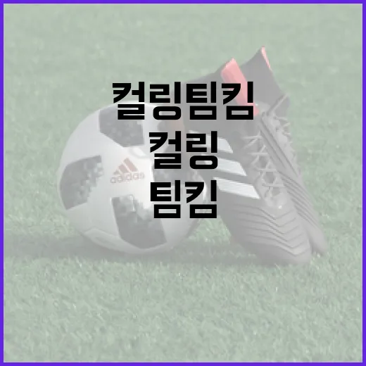 컬링 팀킴을 이해하고 즐기는 방법 - 요약