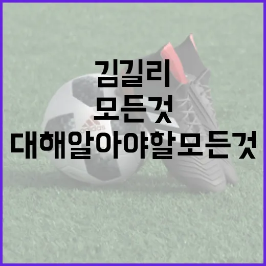 김길리에 대해 알아야 할 모든 것 - 요약