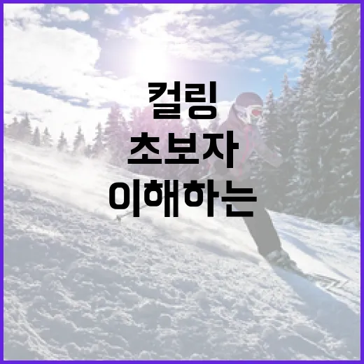 초보자를 위한 컬링 규칙 이해하는 방법 - 요약