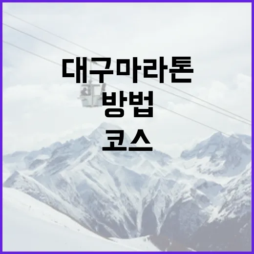 대구 마라톤 코스를 즐기는 방법 - 요약