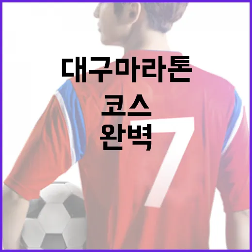 대구마라톤 코스를 완벽하게 준비하는 방법 - 요약