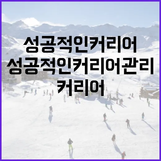 고우석을 통해 배우는 성공적인 커리어 관리 방법 - 요약